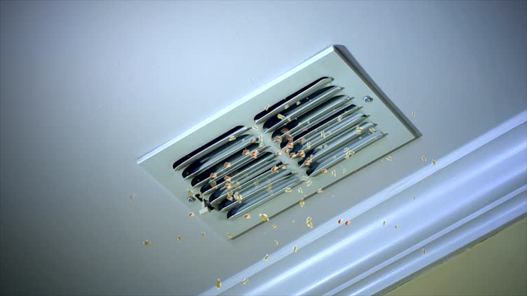 Best HVAC System Cleaning  in Concordia, MO