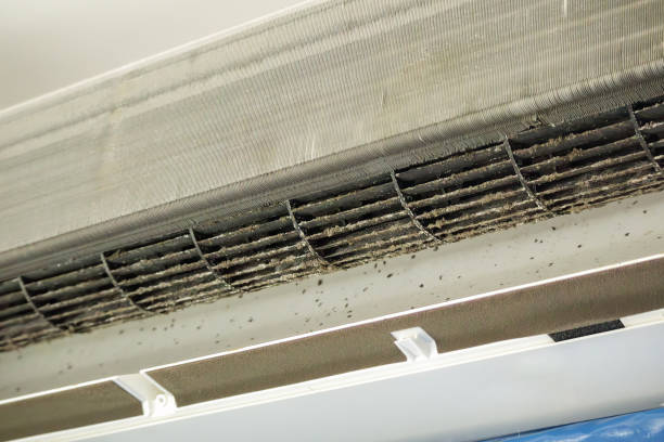 Best HVAC Maintenance and Cleaning  in Concordia, MO